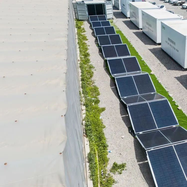 Zambia's new energy supporting energy storage policy